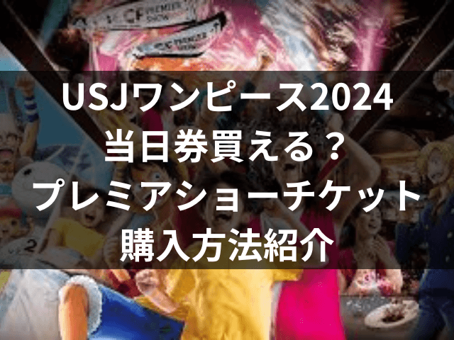 USJ　ワンピース　当日券